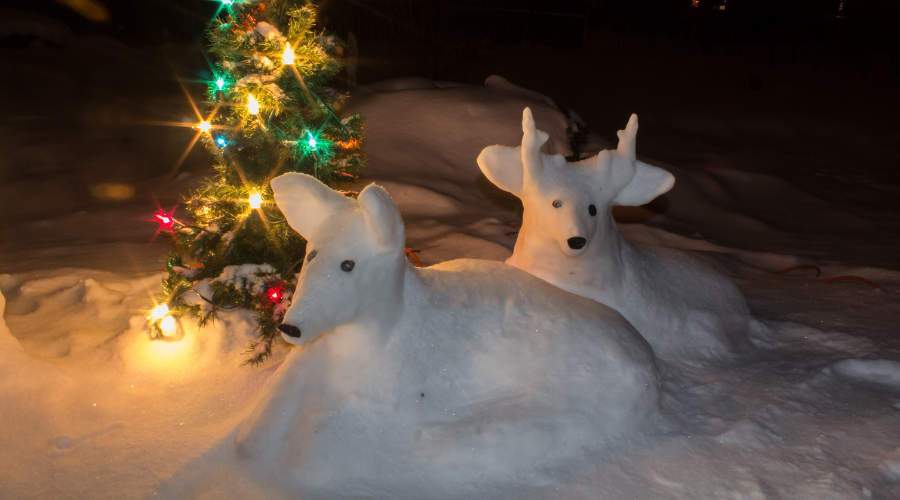 snow sculptures