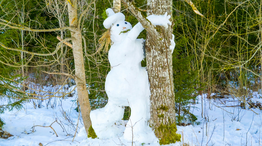 A big white snowman hugging a tree