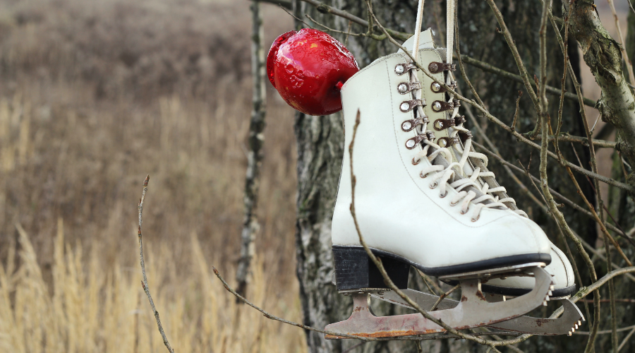 Pair of White Ice Skates hanging on the tree