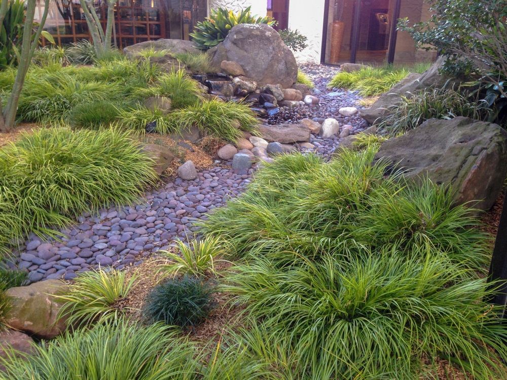 Dry creek bed with beach pebbles and ornamental grasses.
