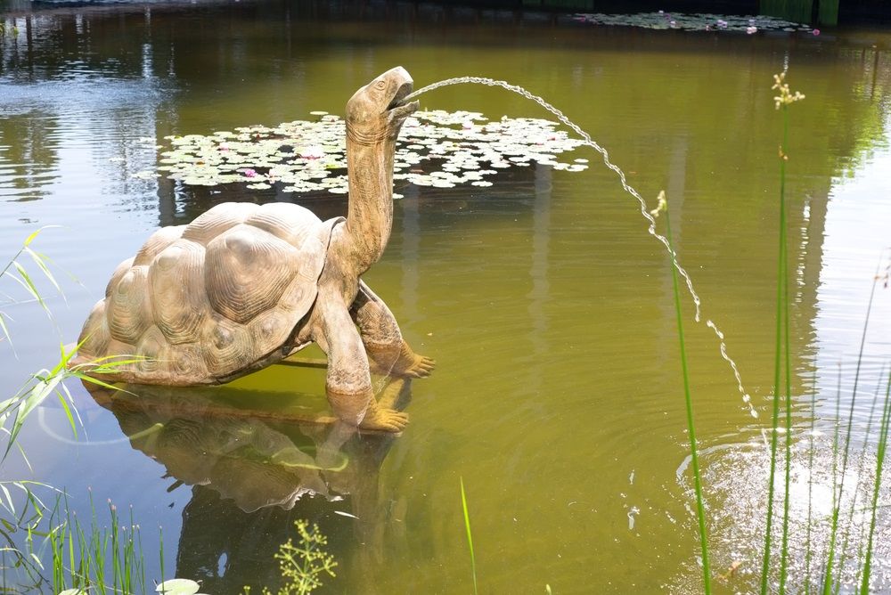 Turtle fountain spitting water outdoors