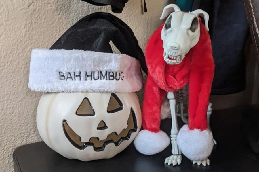 a jack-o-lantern and a skeleton dog wearing Christmas accessories