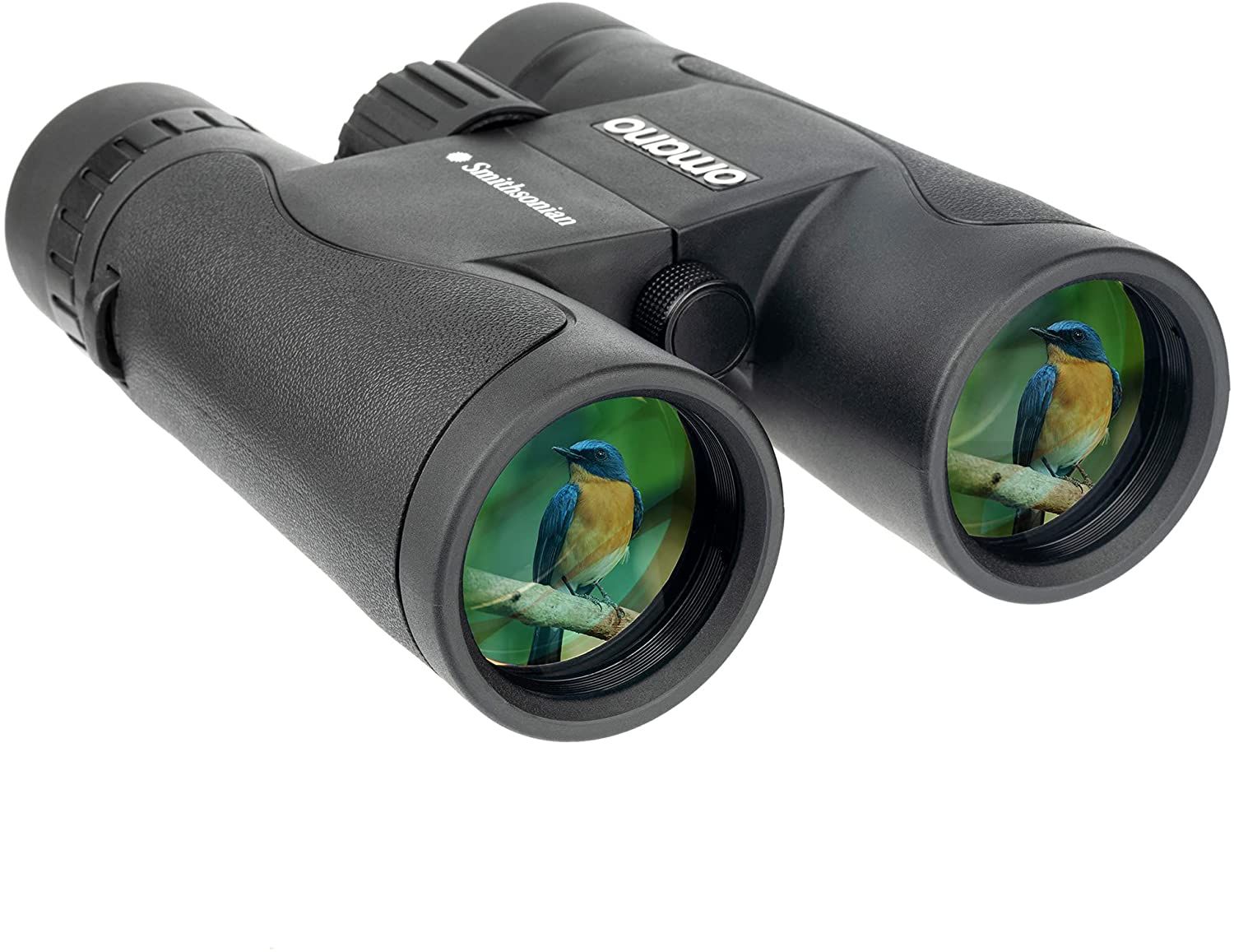 The Best Birding Binoculars in 2022