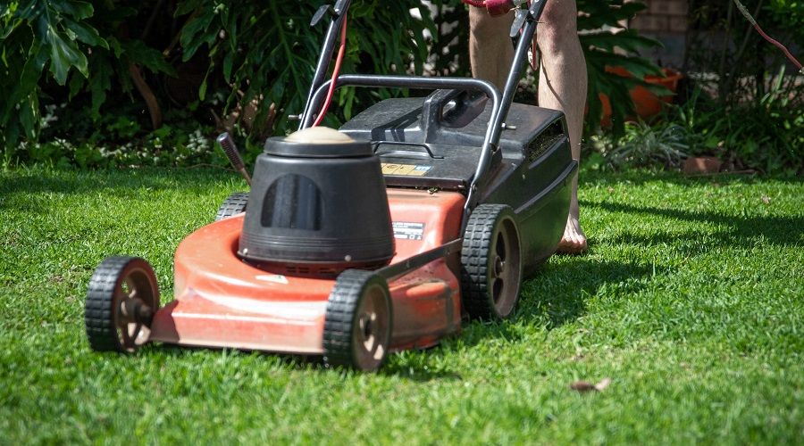 The Best Cheap Lawn Mowers for 2022