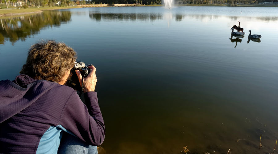 Woman takes photo of birds on a lake