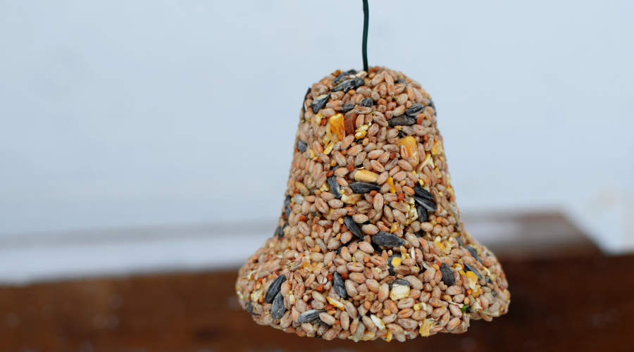 Bell shaped bird feeder made of seeds
