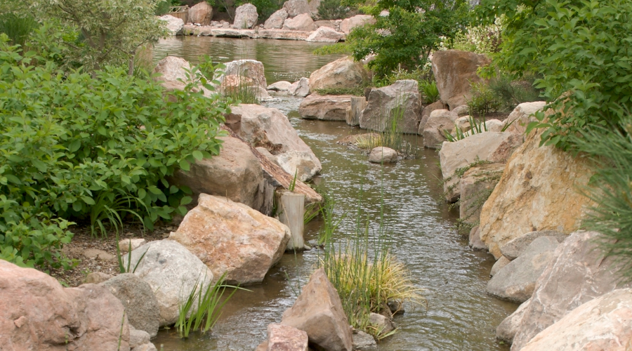 Botanical Garden Stream