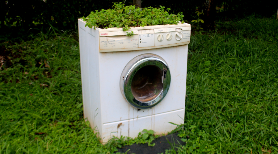 Plants on Broken Washing Machine