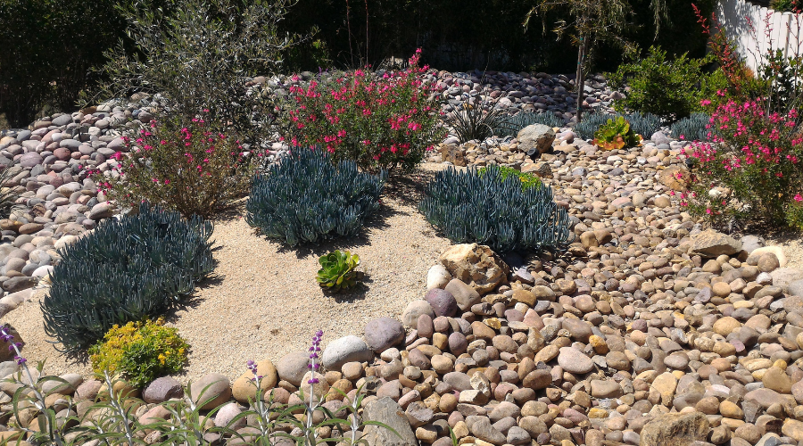Xeriscaped Front Yard with Dry Creek Bed
