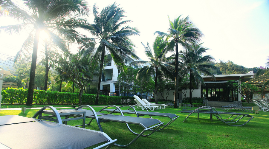 Hotel Lounges Palm Landscape