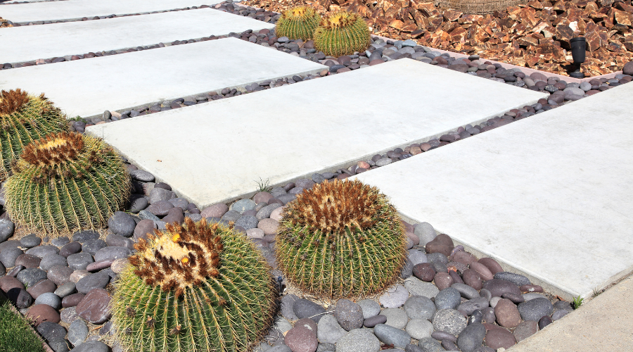 Xeriscaped Residential Walkway