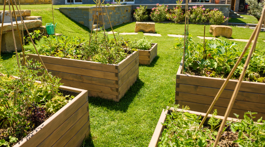 Vegetable garden beds