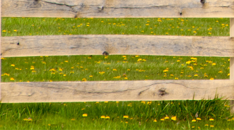 52 of the Best Landscape Edging Ideas