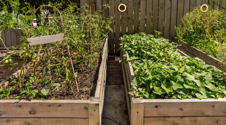 40 Awesome and Cheap Landscaping Ideas