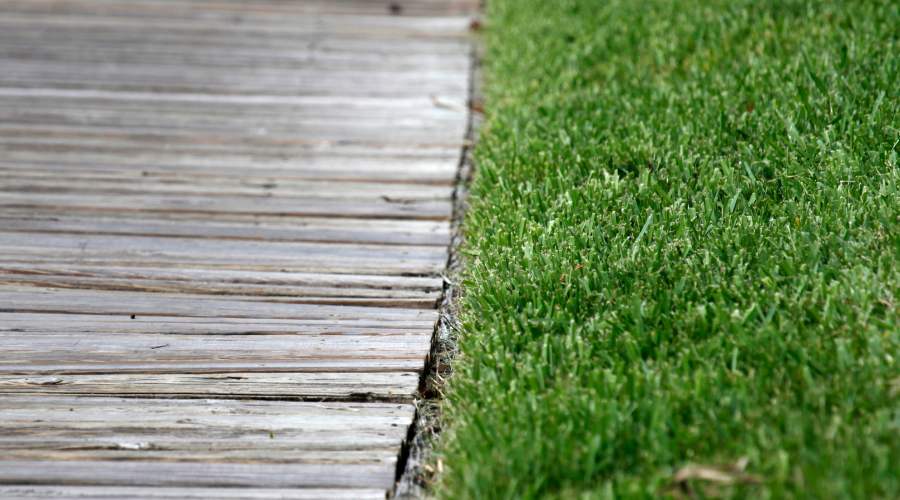 52 of the Best Landscape Edging Ideas