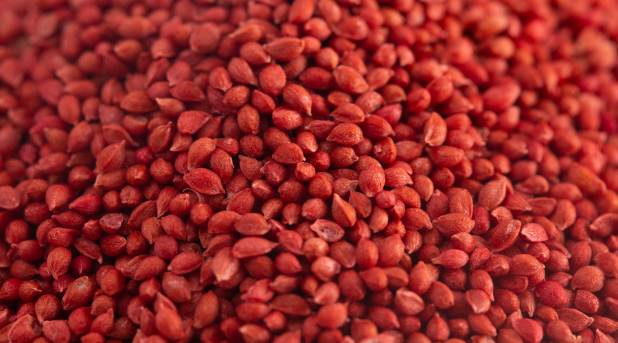 A Background of Cranberry Seeds