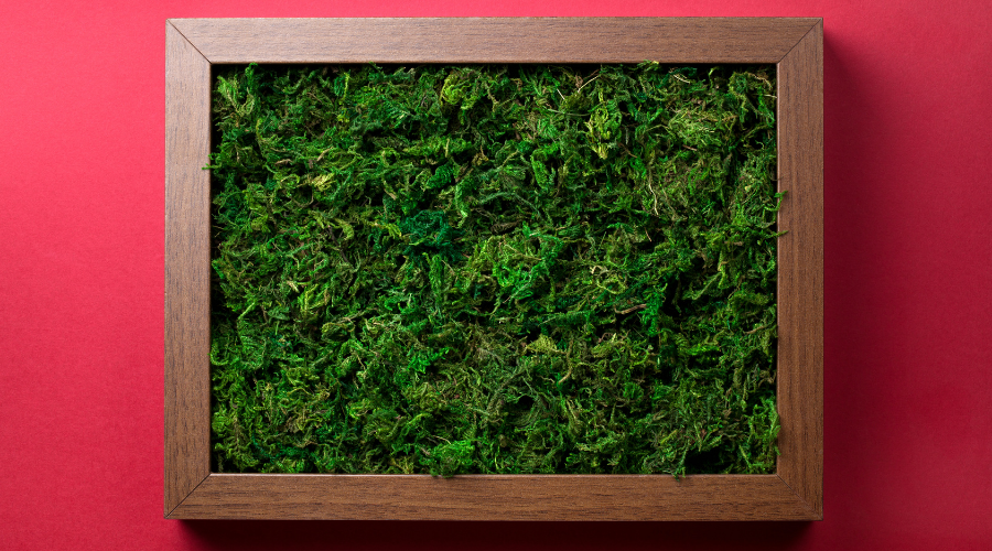 Wooden Frame With Green Moss