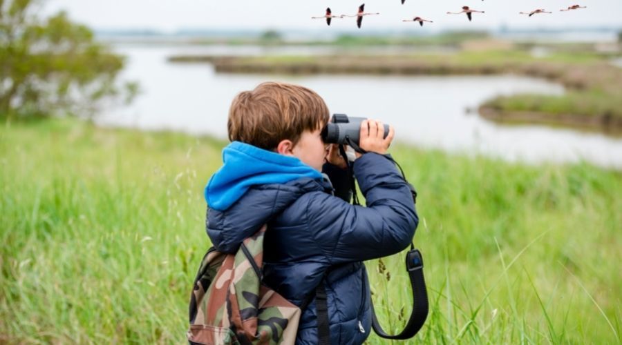 child standing outdoors watching birds with binoculars