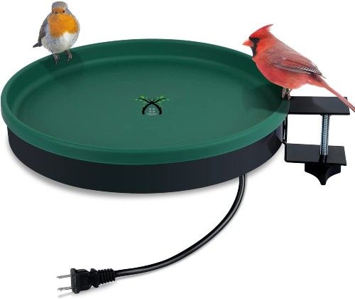 The Best Bird Bath For 2022