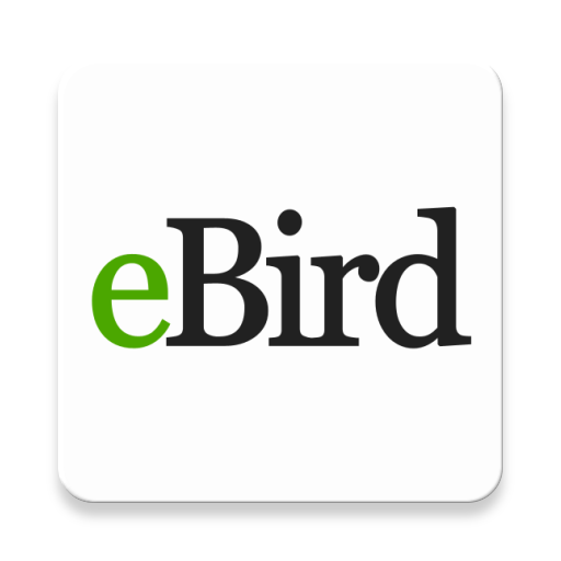 eBird Mobile App