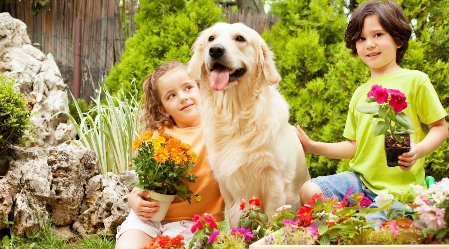 two children gardening with dog