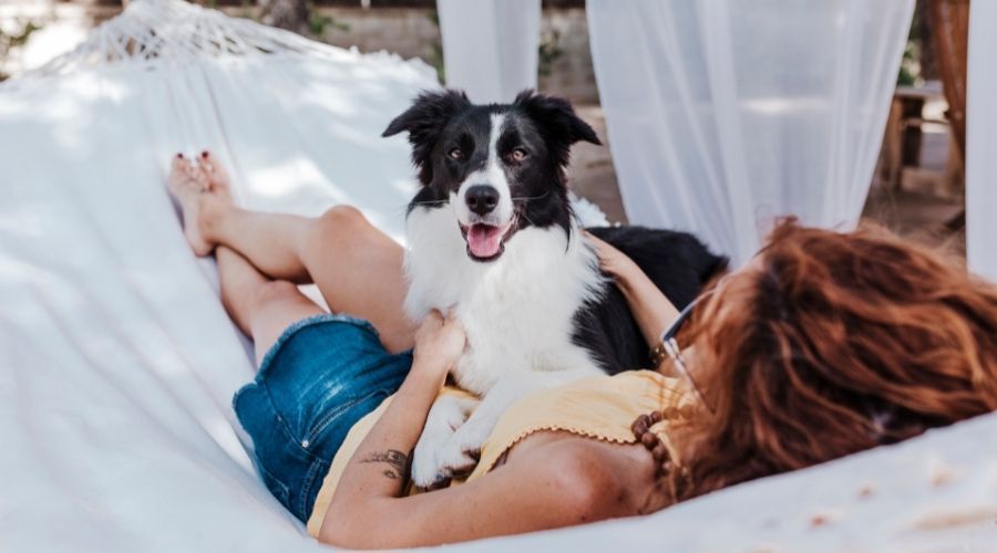 dog and owner laying on hammock outside