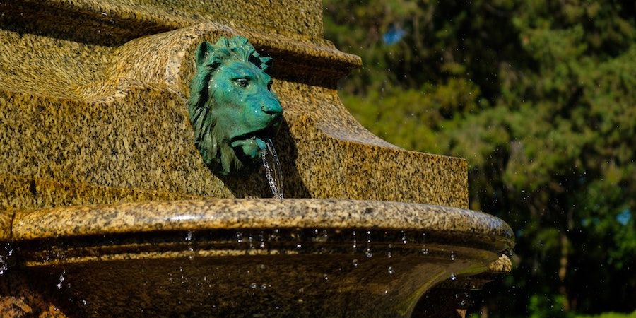 Green lion water feature 