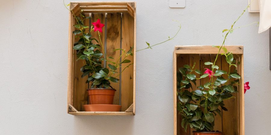 Crates mounted on wall filled with plants