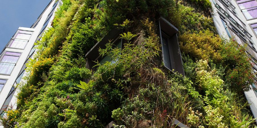 living wall on large building