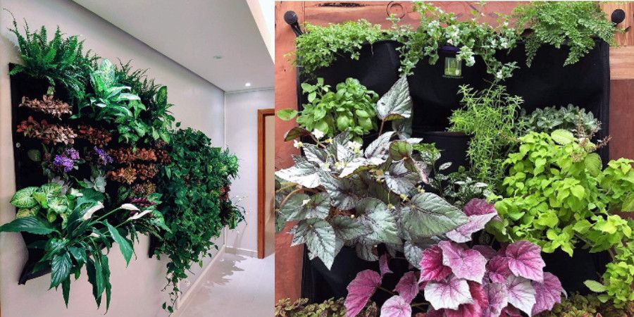 plants growing in wall pocket planter
