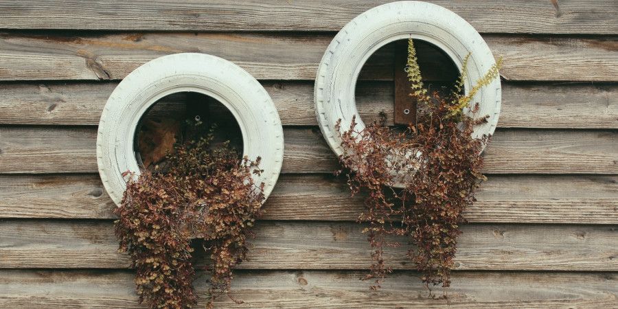 two painted tires hanging on a wooden wall, functioning as planters