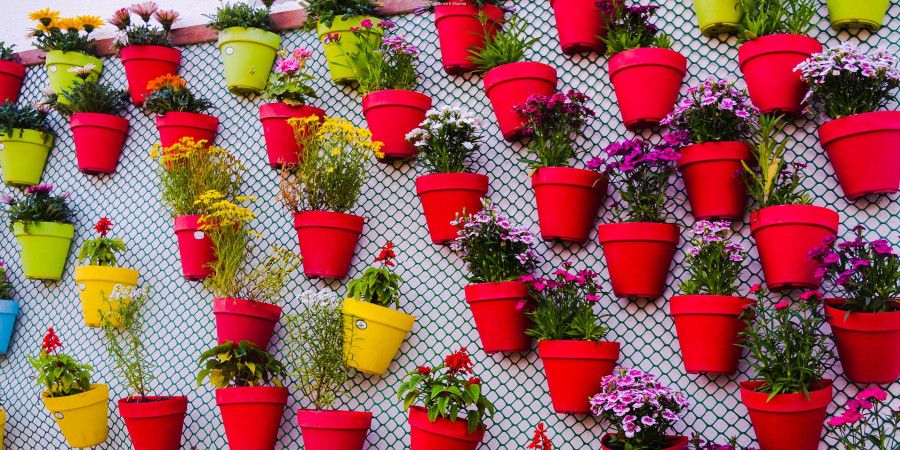 Chainlink fence wall covered in flower pots