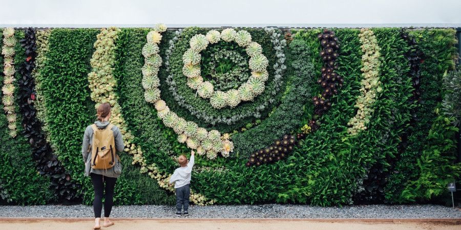 Round wall maze of plants