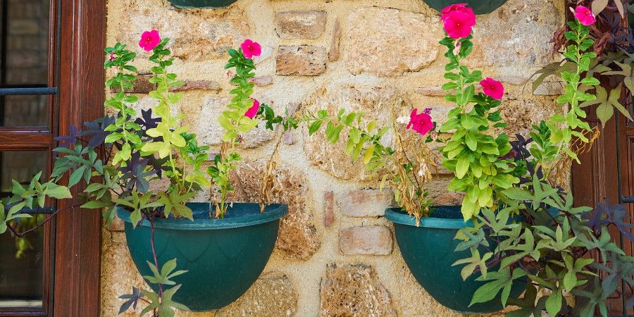 two flower pots mounted on a wall
