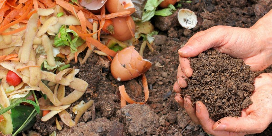 Hands holding compost, with compsting ingredients in background