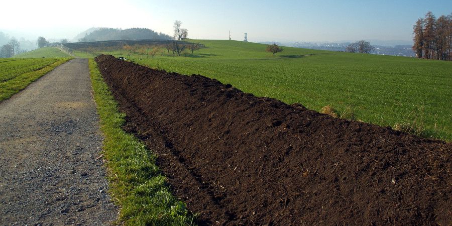 Farm row with compost