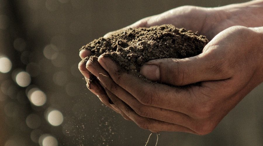 testing your garden's soil