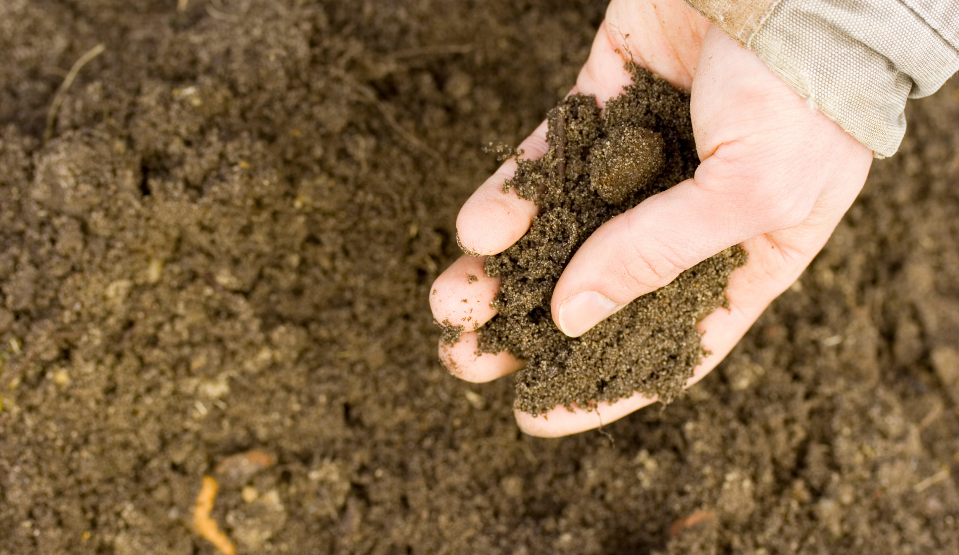 hand testing soil quality