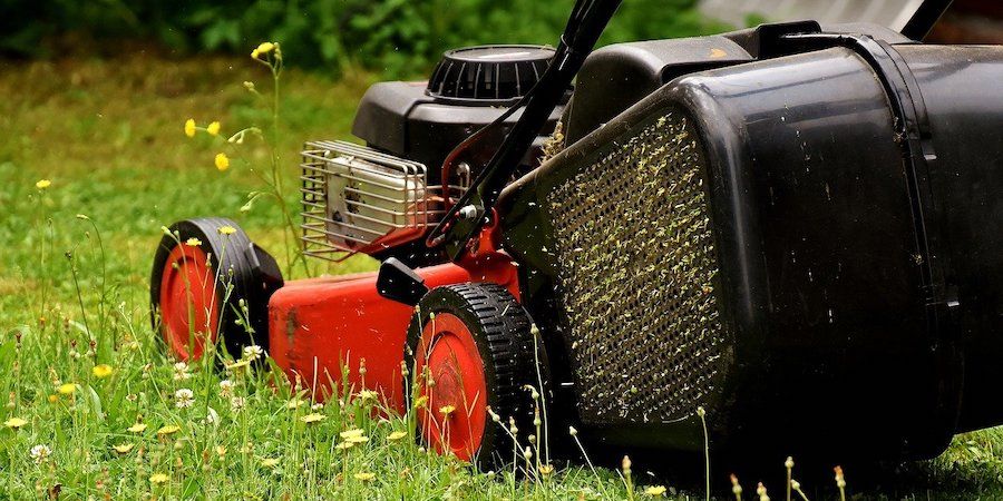 Red lawn mower mowing the grass