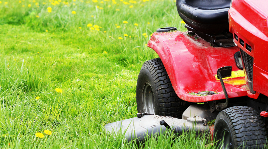 How Long After Planting Grass Seed Can I Mow?