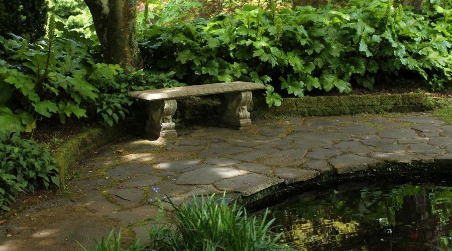 stone bench on a stone pathway next to a pond