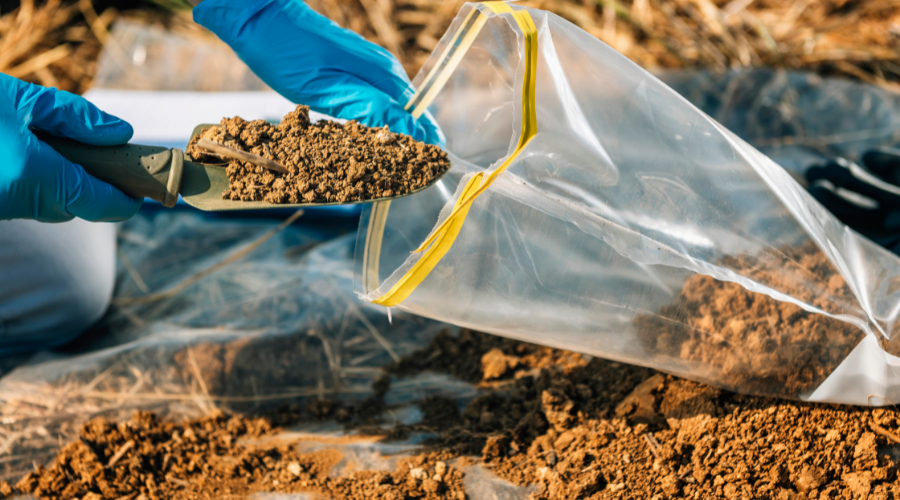 soil in bag for test