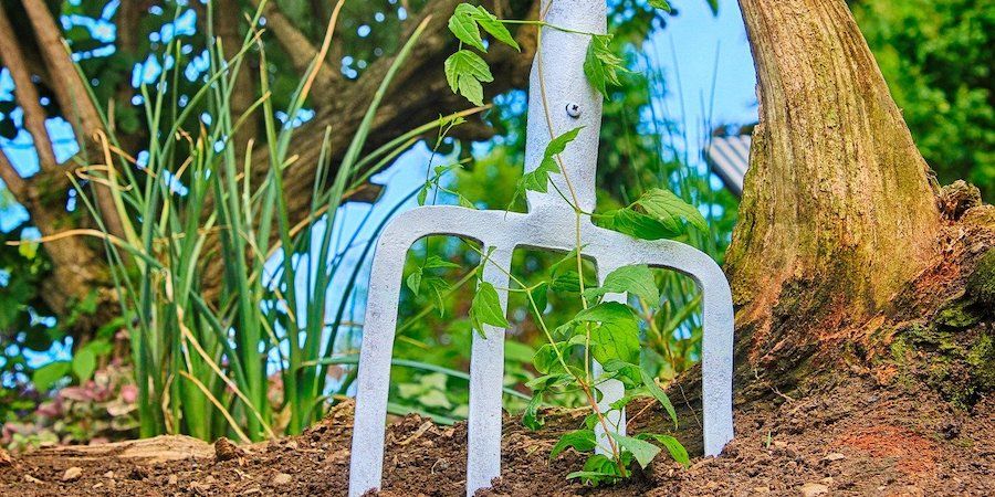 Garden fork in the soil