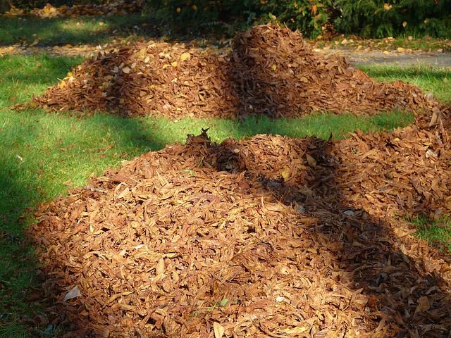 Brown Leaf Piles on Grass