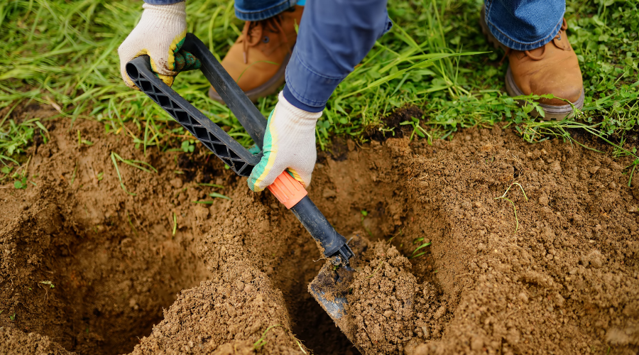 Man Digging Holes with Shovel for Planting Plants in Garden
