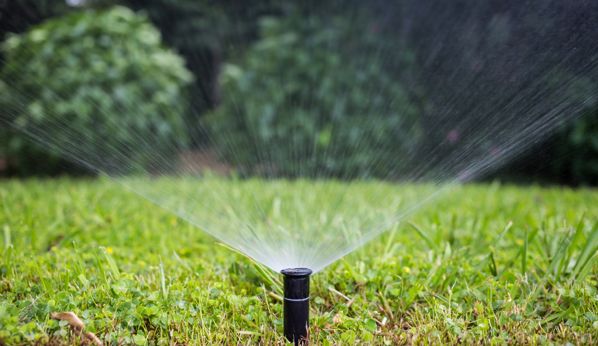 Sprinkler watering the lawn in a park