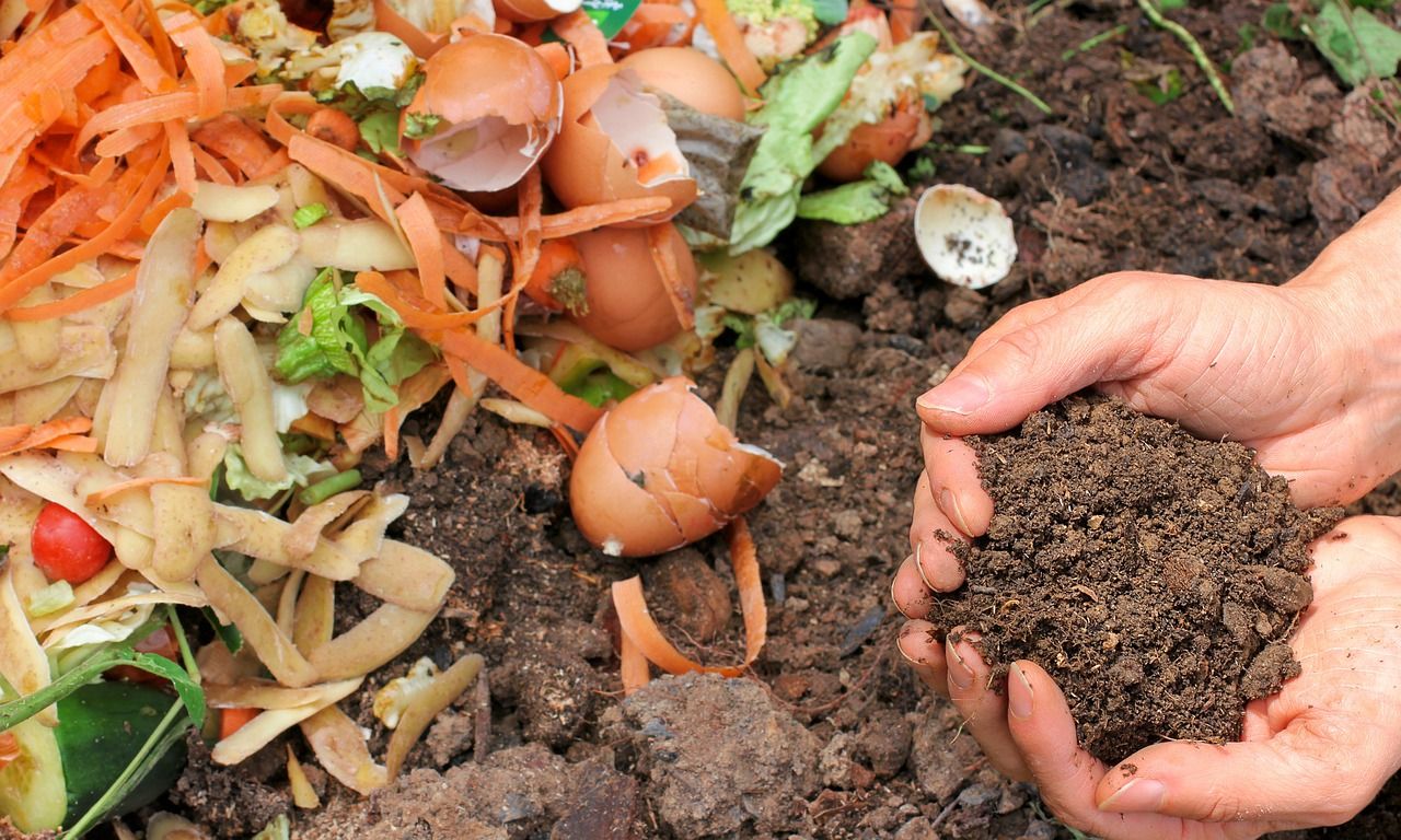 Hands with compost and dirt