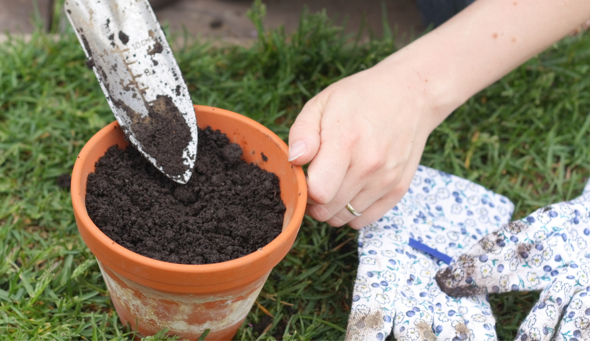 plant pot filled with soil and gardeners gloves