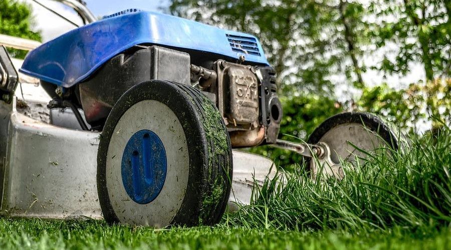 Blue lawn mower close up on grass