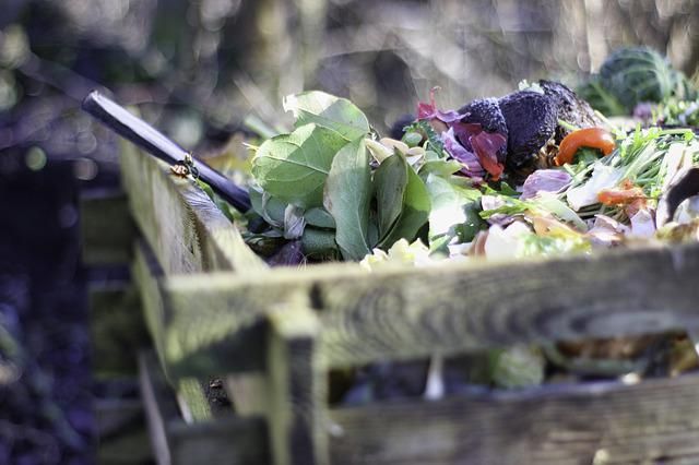 Vegetable Compost in Wooden Bin